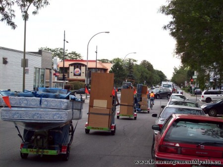 four loaded bicycle trailers on a move