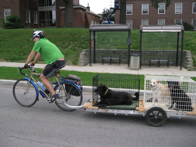 bike buggy for dogs